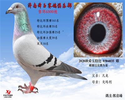 特比环加强赛25名 双关34名