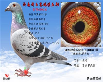 特比环加强赛10名 加强赛大奖13名