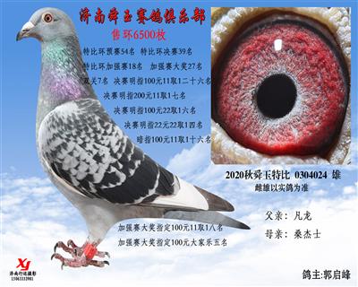 双关7名 特比环加强赛18名