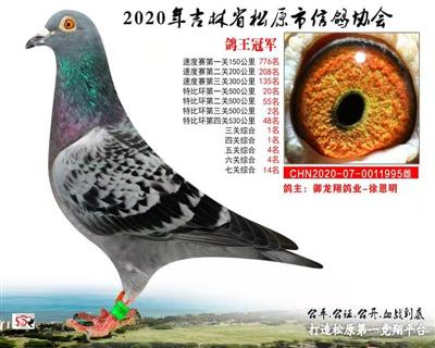 徐恩明成績鴿