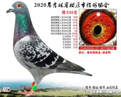 徐恩明成績鴿