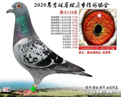 徐恩明成績鴿