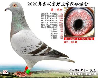 蘇云明成績鴿