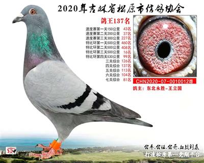 王立國成績鴿