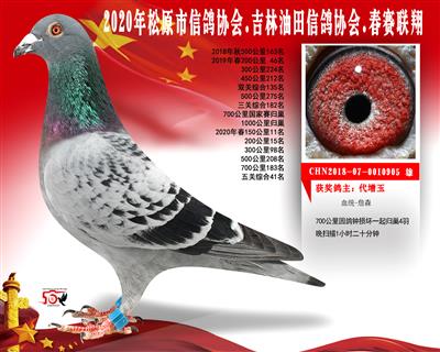 代增玉成績鴿