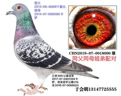 于會明特留