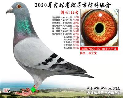 孫立文成績鴿