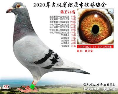 孫立文成績鴿
