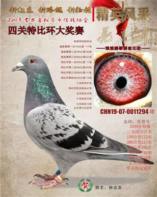 孫立文成績鴿