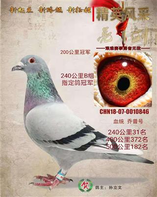 孫立文成績鴿