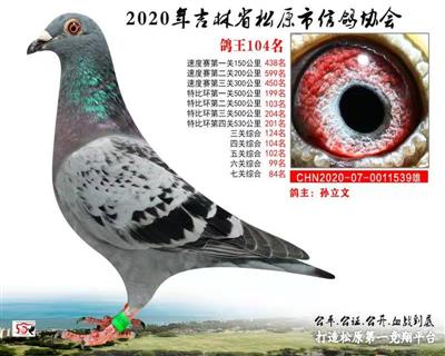 孫立文成績鴿