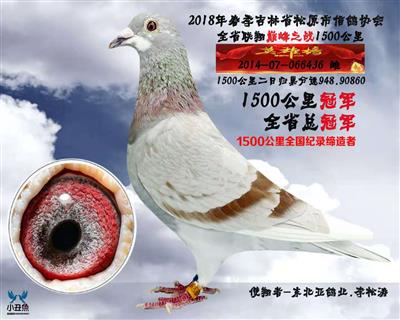 李松濤成績鴿