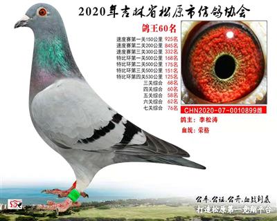李松濤成績鴿