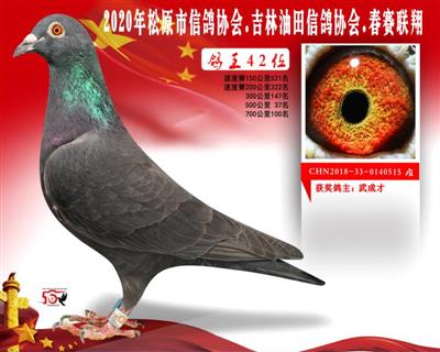 武成才成績鴿