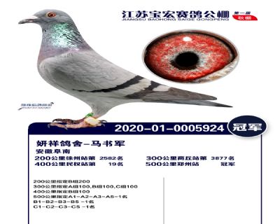 江蘇寶宏決賽冠軍