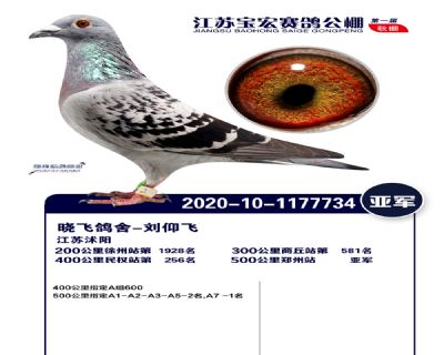 江蘇寶宏決賽亞軍