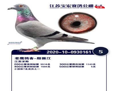 江蘇寶宏決賽5名