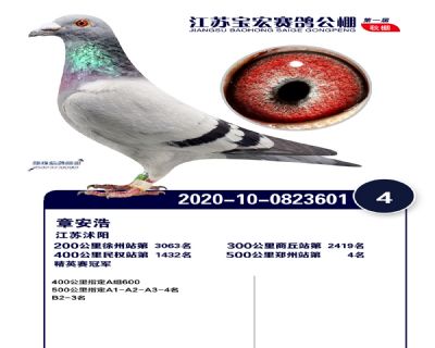 江蘇寶宏決賽4名