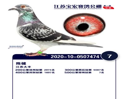 江蘇寶宏決賽7名