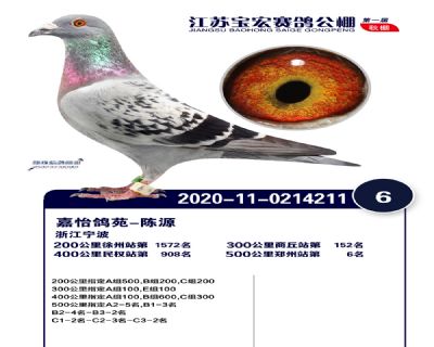 江蘇寶宏決賽6名