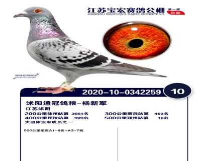 江蘇寶宏決賽10名