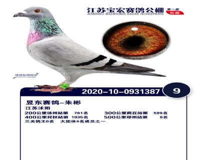 江蘇寶宏決賽9名