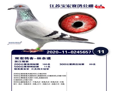 江蘇寶宏決賽11名
