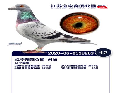 江蘇寶宏決賽12名