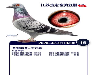 江蘇寶宏決賽16名