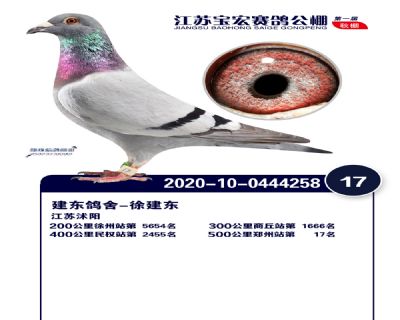 江蘇寶宏決賽17名