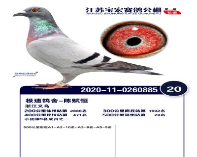 江蘇寶宏決賽20名
