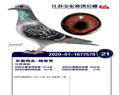 江蘇寶宏決賽21名
