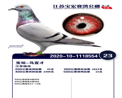 江蘇寶宏決賽23名