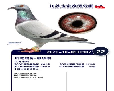 江蘇寶宏決賽22名