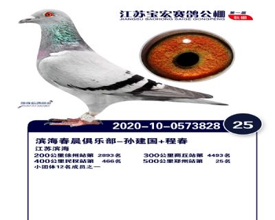 江蘇寶宏決賽25名