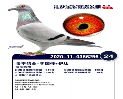 江蘇寶宏決賽24名