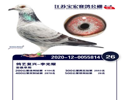 江蘇寶宏決賽26名