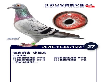 江蘇寶宏決賽27名
