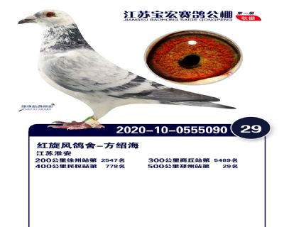 江蘇寶宏決賽29名
