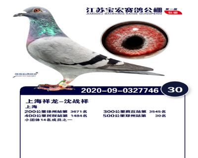 江蘇寶宏決賽30名