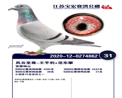 江蘇寶宏決賽31名