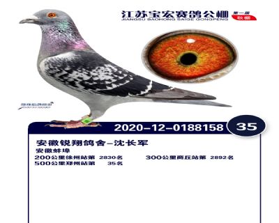 江蘇寶宏決賽35名