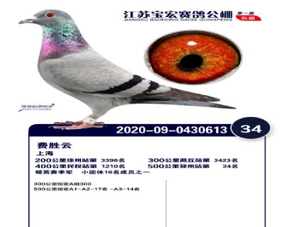 江蘇寶宏決賽34名