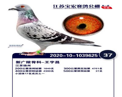 江蘇寶宏決賽37名