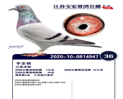 江蘇寶宏決賽36名
