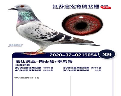 江蘇寶宏決賽39名