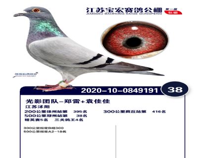 江蘇寶宏決賽38名
