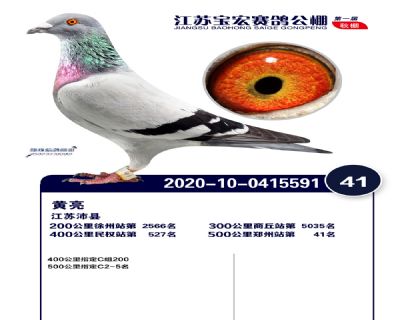 江蘇寶宏決賽41名