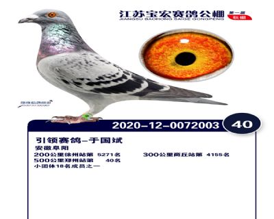 江蘇寶宏決賽40名
