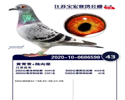江蘇寶宏決賽43名